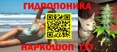 MDMA Партизанск
