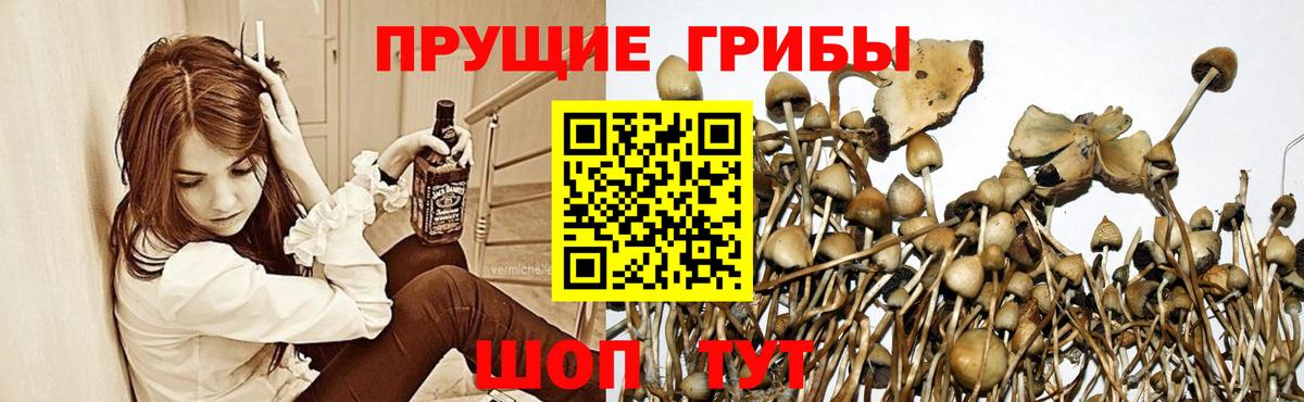 хочу   Вход с VPN  Южно-Сахалинск  Псилоцибиновые грибы ЛСД 
